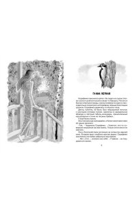 Крапивин В. Оруженосец Кашка