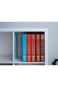 Гнедич П.П. Искусство Ренессанса Новое оформление