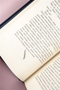 Рейли К. Связанные местью