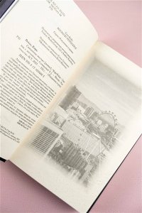 Рейли К. Связанные местью