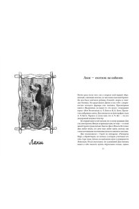 Шоу Р. Собаки книжного магазина на краю света