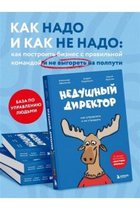Афанасьев А.О. Недушный директор. Как управлять и не страдать