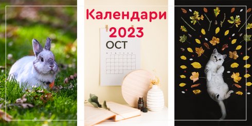 Настенные календари на 2023 год